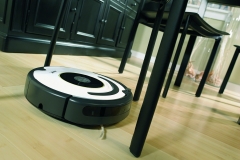 Roomba-6204
